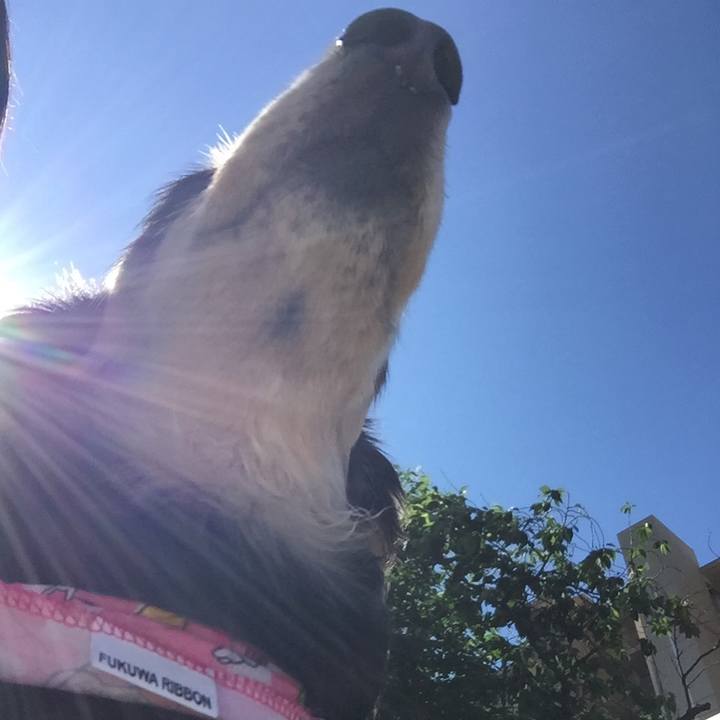 D91eee9d 351c 4446 80f4 abee3efee516