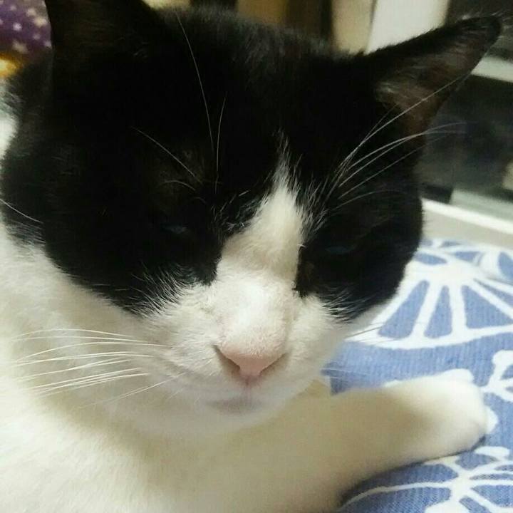 D91f136c 3f1e 4c60 91ac a8a25ee076b0