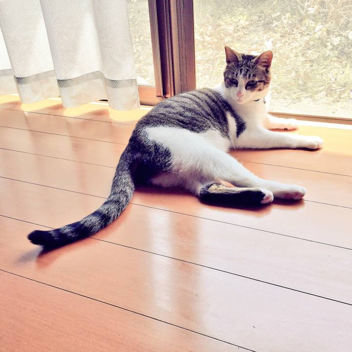 D91f1a68 e2eb 4859 9261 029e101bbe64