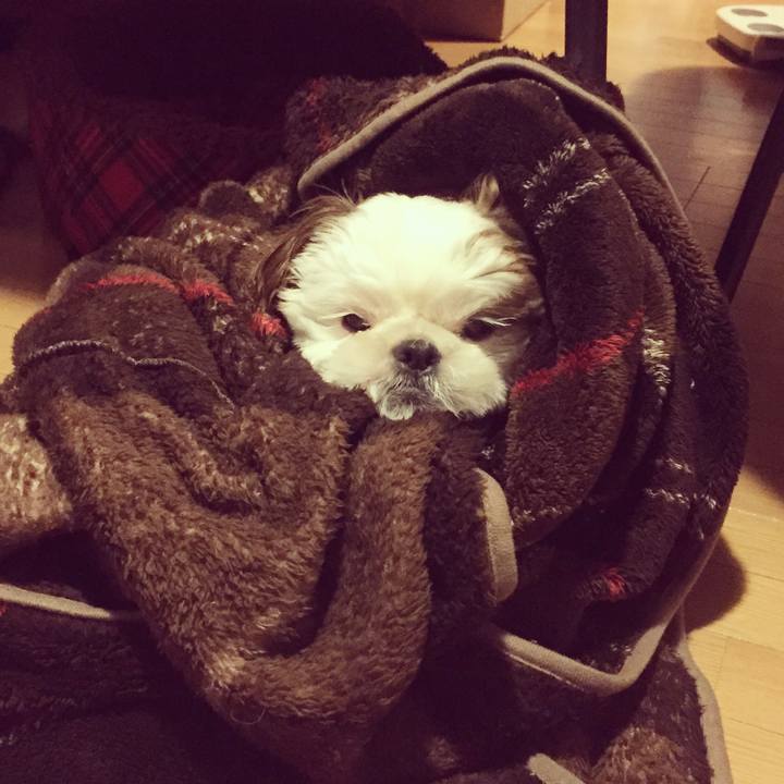 D91f399e 0de4 463f 9331 bc026f680c50