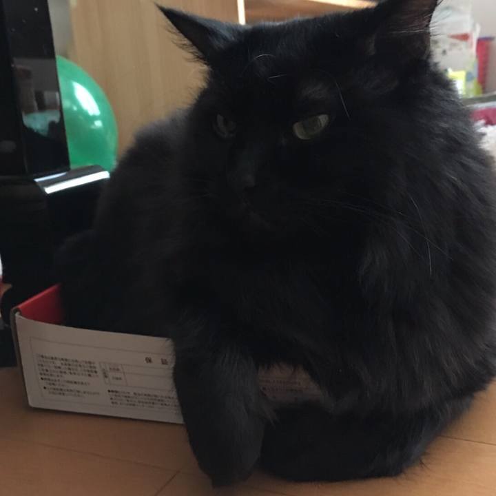 D91f671e df99 498d b0ad 28b7da6b266e