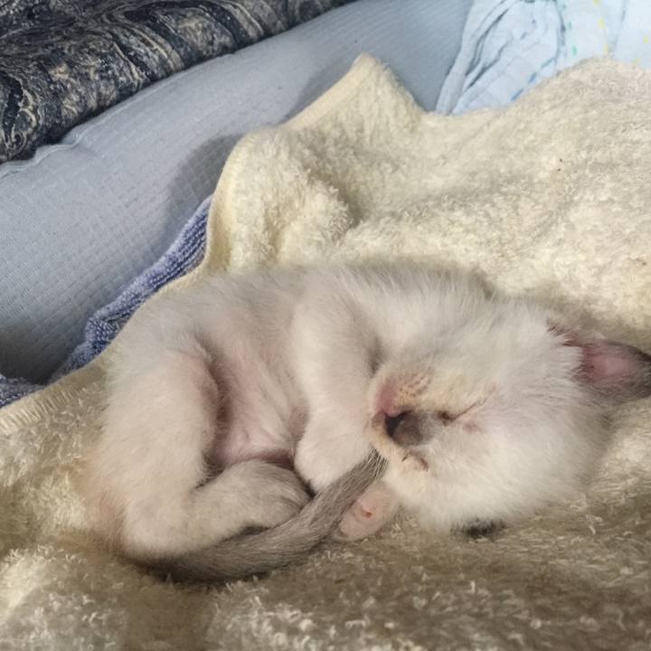 D91f6ac7 05e1 4c58 86cd 4c0dd4ff147a