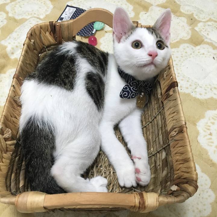 D91f8c3f 9362 44df bbc9 bf08fe00f78c