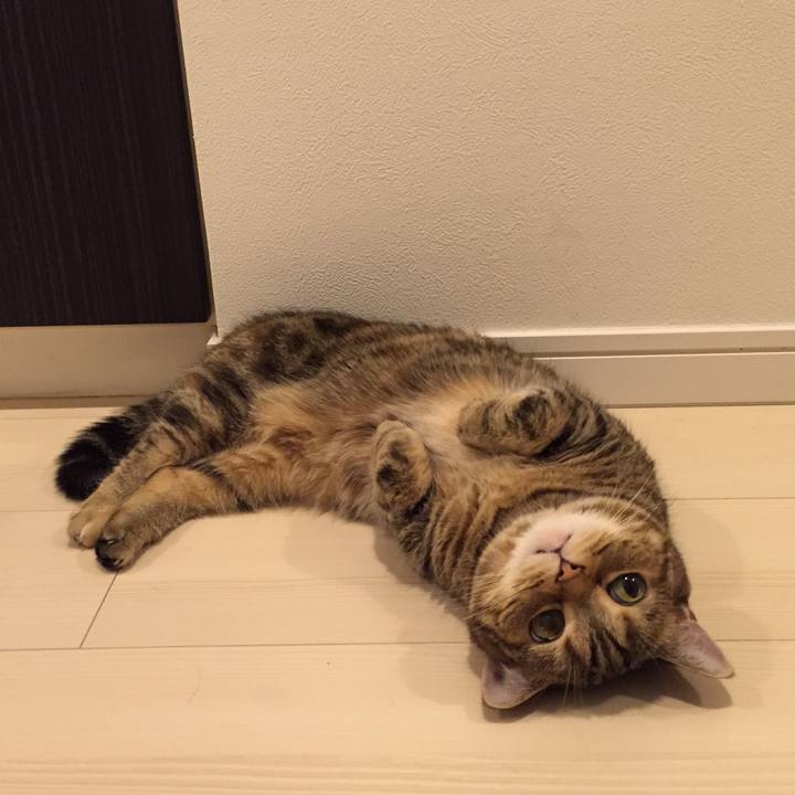 D91fa565 c35c 4d6f b130 9fb184c7e888