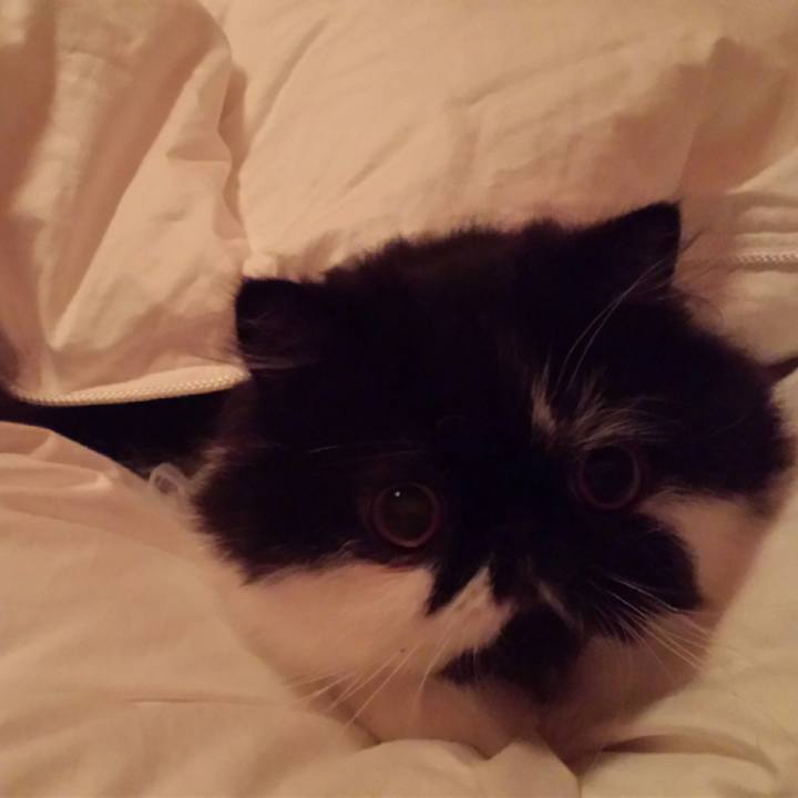 D9206134 b75d 4c17 9907 282c73df753c