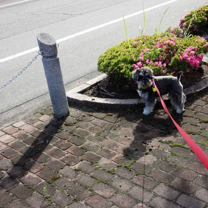 D920a7c5 095c 463d 9f0e c38b904d8bf5