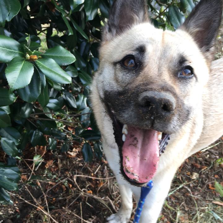 D921ee47 b37d 4e85 a62b cb6b58638091