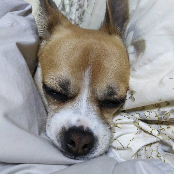 D92203c5 5f7b 4c0b b1c7 657f40a027d4