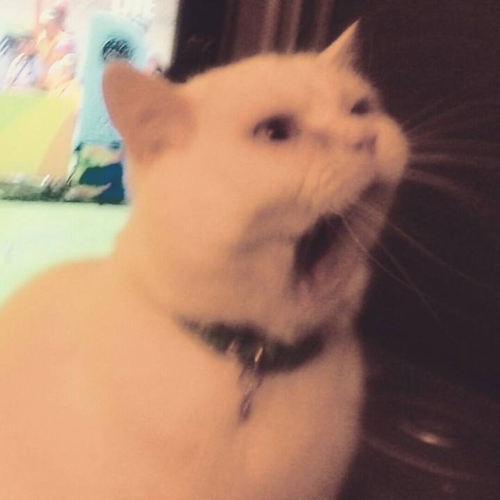 D9225d91 662f 4dc2 a483 e11246d869ef