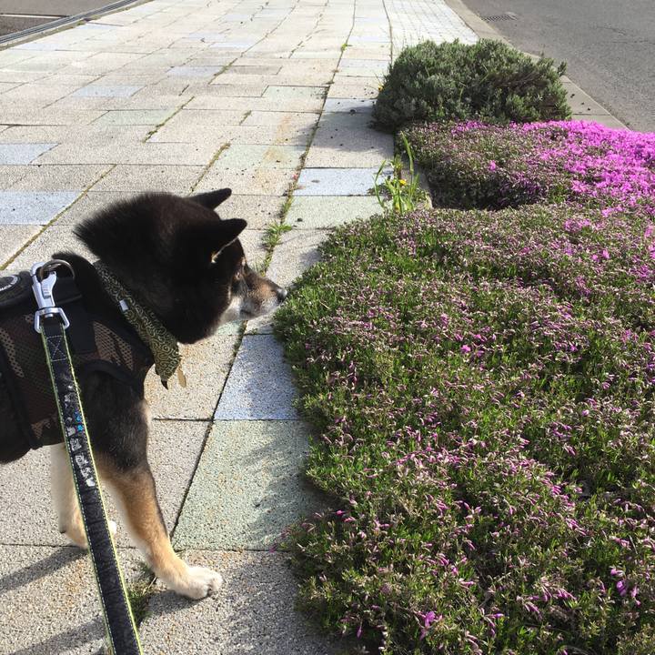 D92278f6 2720 47d3 ab40 6f1de3591d4f