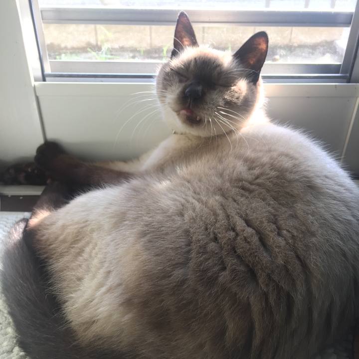 D9234ab7 e6e7 4027 b04d e5ced862f525