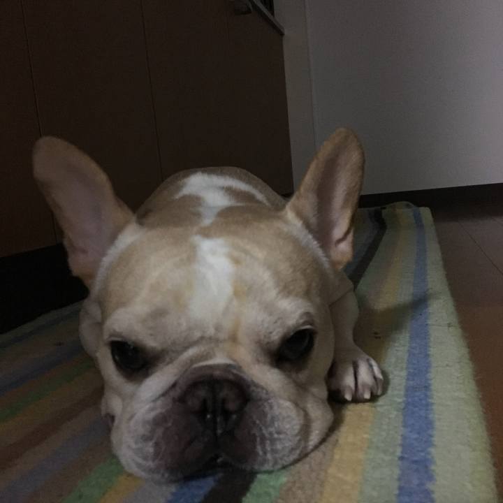 D923ce2d 5aef 4bef b8e3 bed4ff7b1cf1