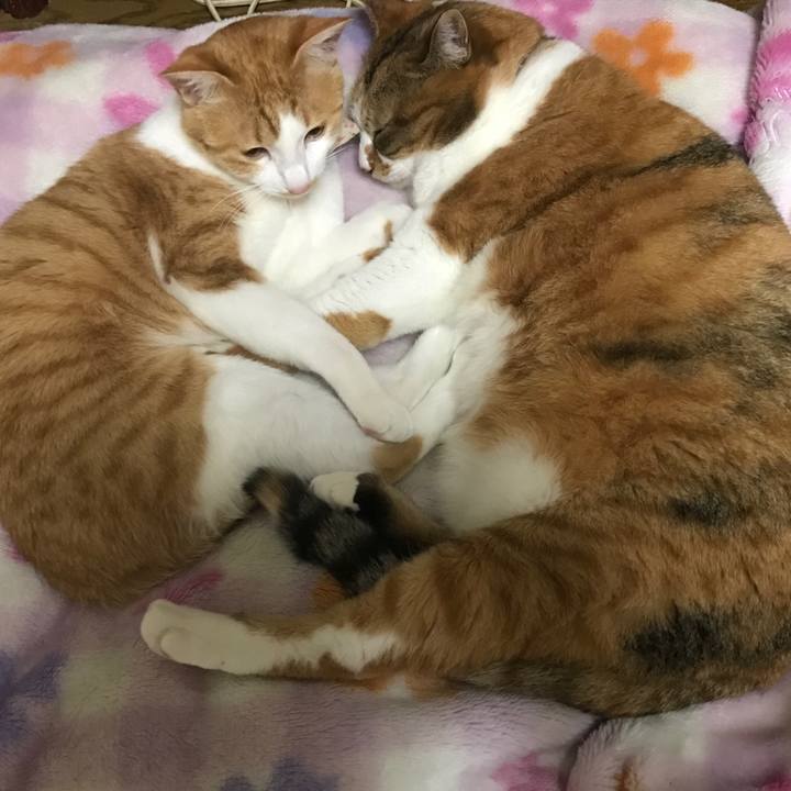 D923f32b 8fea 433f 89a9 e0d6a9f82a92