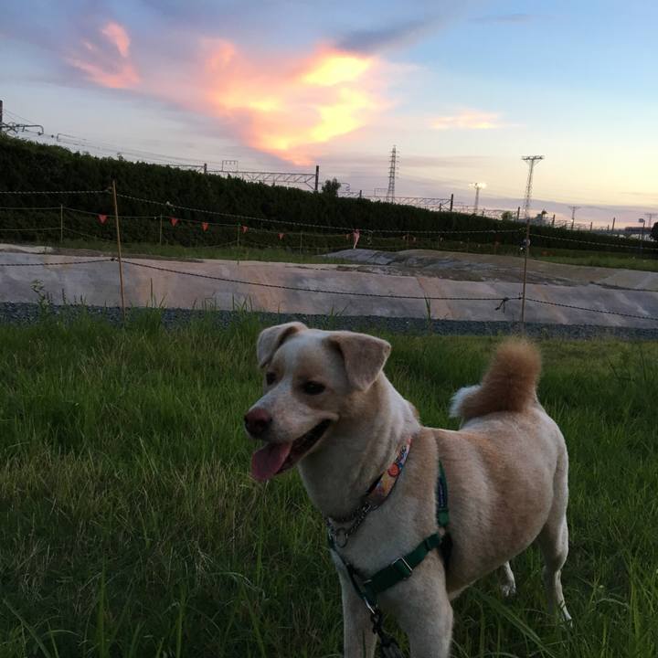 D92452b2 5ade 4b0c a32e 2578d8af637f