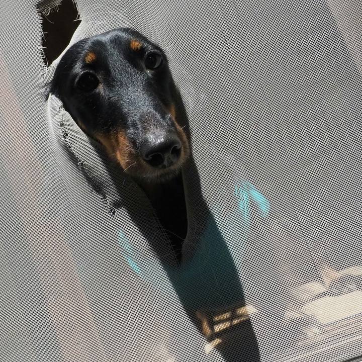 D924bf98 df21 4e3d b5c8 c9510eb3a82a