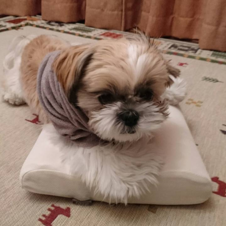 D9257060 9ade 4aac af20 a65e2df404ad