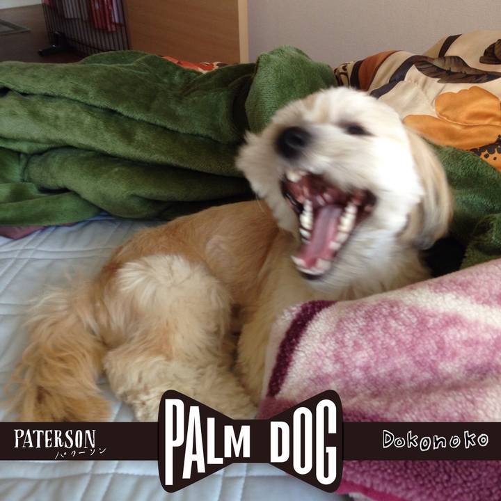 D925944f 0da4 473f a0ea 19c0ec50299e