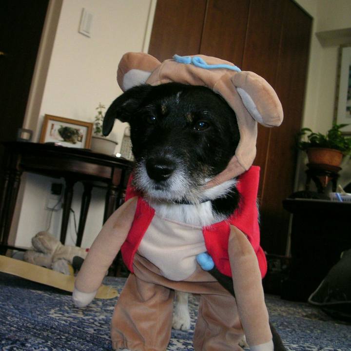 D925a94a 4f2f 4a28 907e 1038e7a2044a