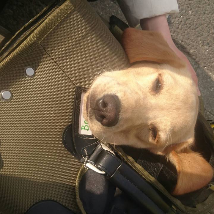 D925ee48 3121 4fbf a33b e36f0b7e60e0