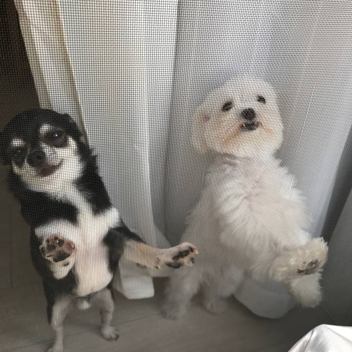 D9262bc0 aa5c 48dd 88d2 3f4420f73fa7