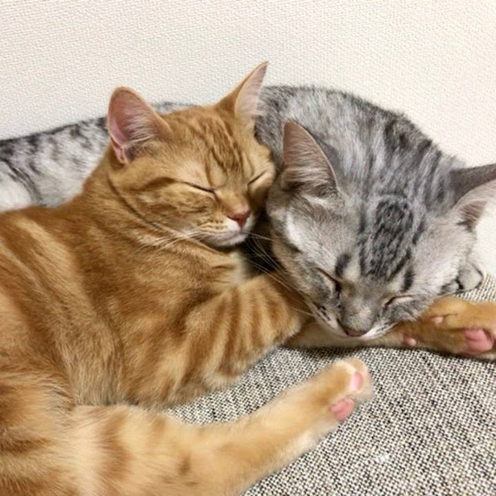 D926762b 8afc 45e0 bcb3 89c414a9c42d