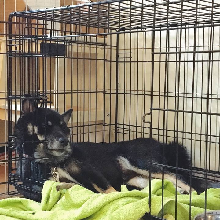 D92685b2 301b 4cc8 aaf4 41aac9f59d16