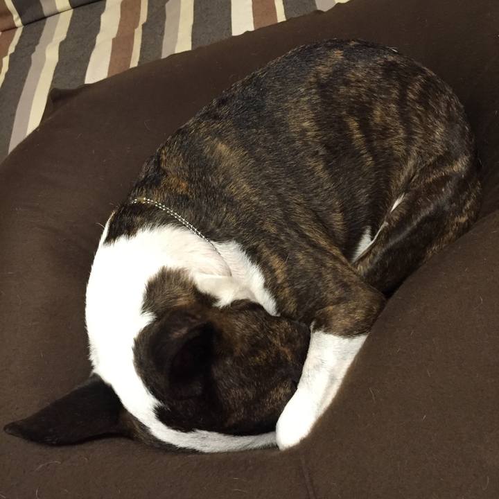 D927c3a0 8357 4576 a484 384ed6ac6947