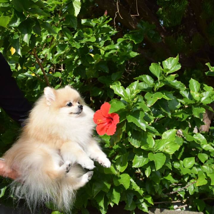 D927ea03 af8a 49cd 9736 20b65ca2eacf