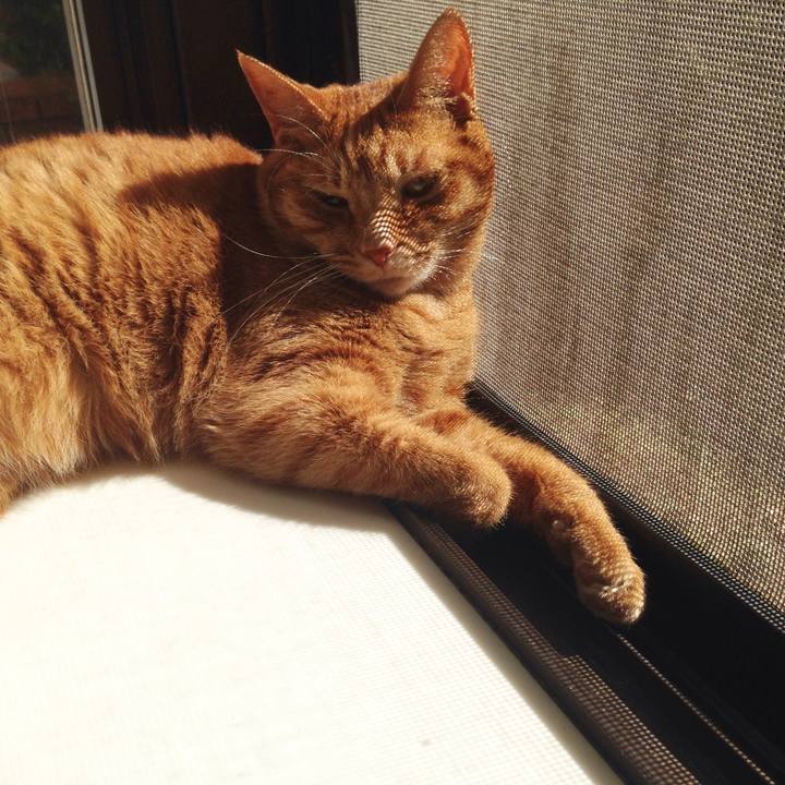 D92830ad 4dfe 4ead 8fb4 8d4230cccbe5