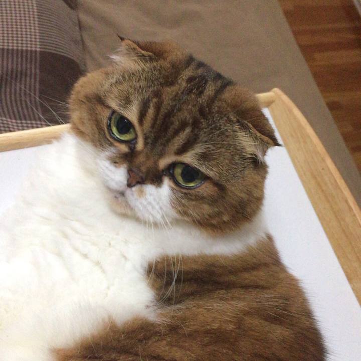 D92a6eb6 9eff 48e3 8be4 98cf4fc91c39