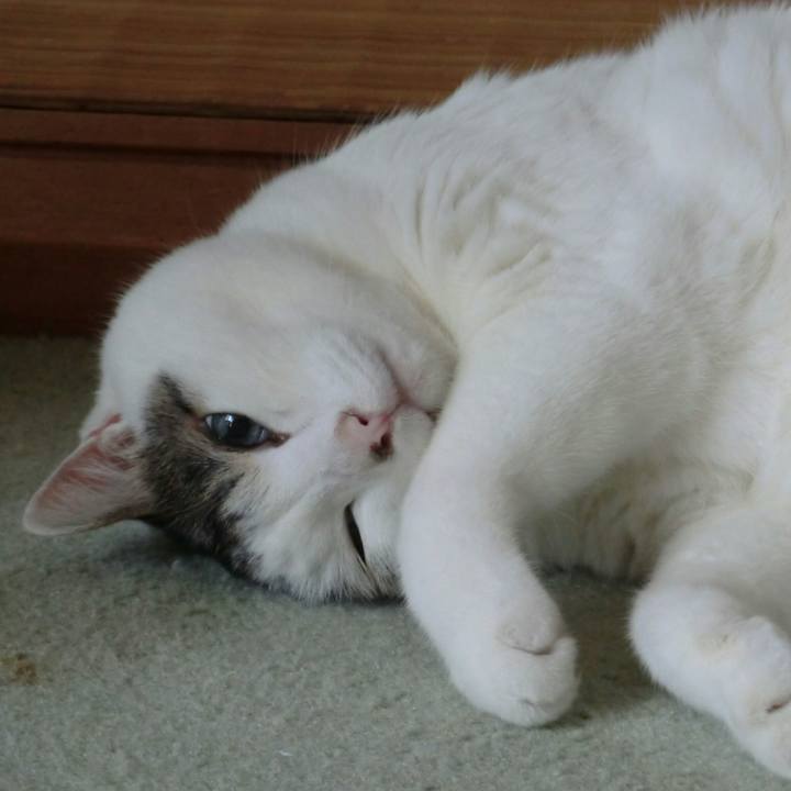 D92aa0c1 e655 400f 85d8 4408d8940f2b