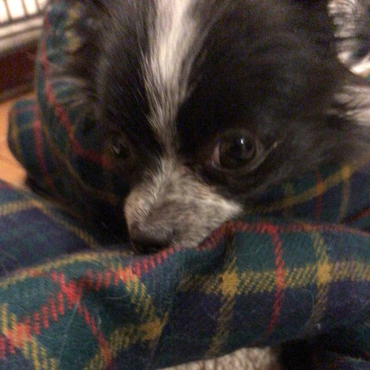 D92ab06d 5473 41b9 bb7c 71af2492f4e4