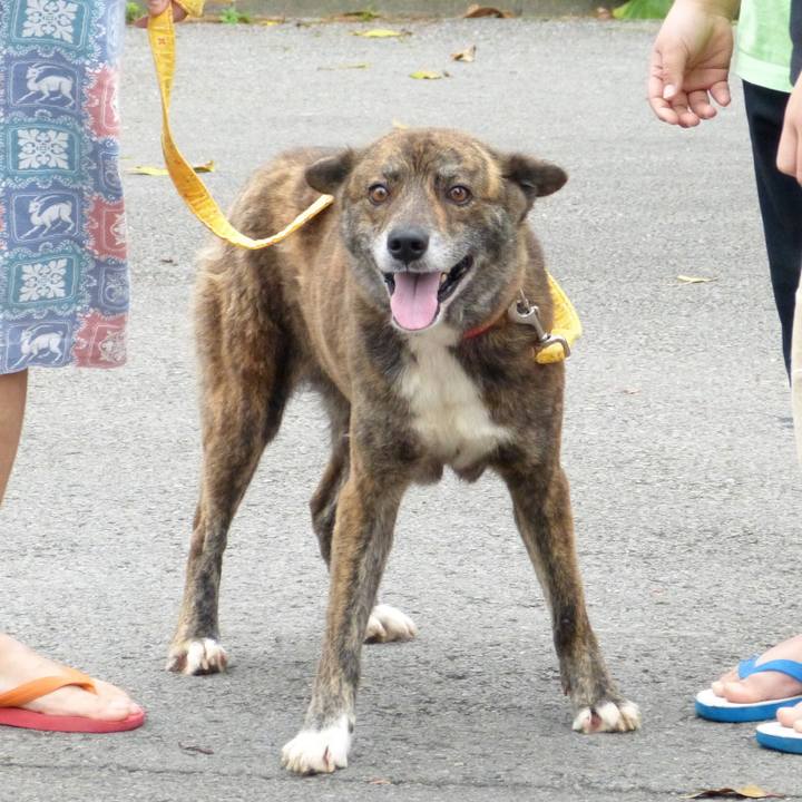 D92ba334 2254 463c 8362 9bfd099e91e7