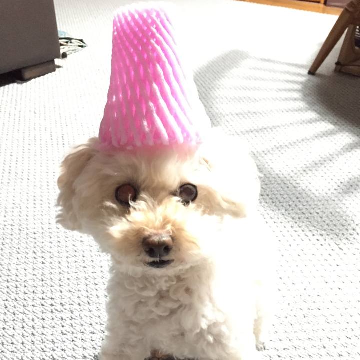 D92ba5be 173b 4a43 99f0 95a36387bdcb