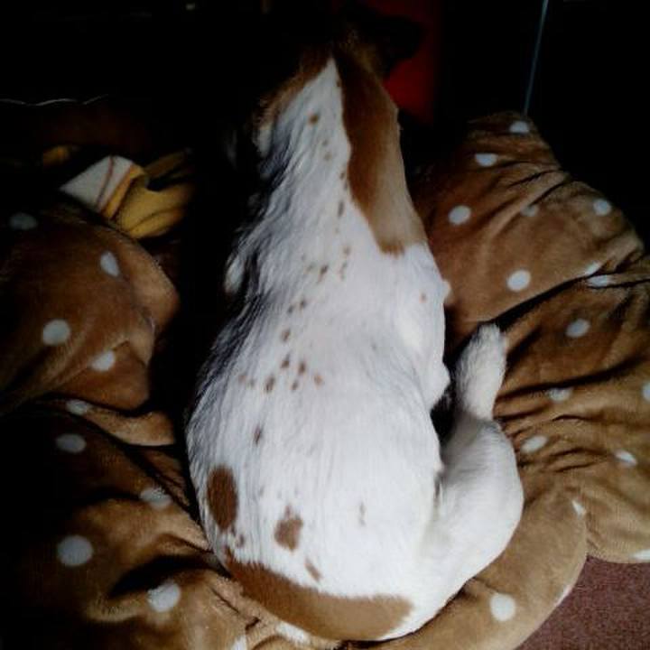 D92bbf17 6551 4a49 80e3 1331a2dbcd2c