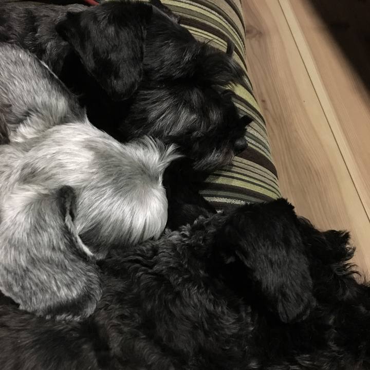 D92c1c37 5229 42ae ae9b a6a8aebaaf9c