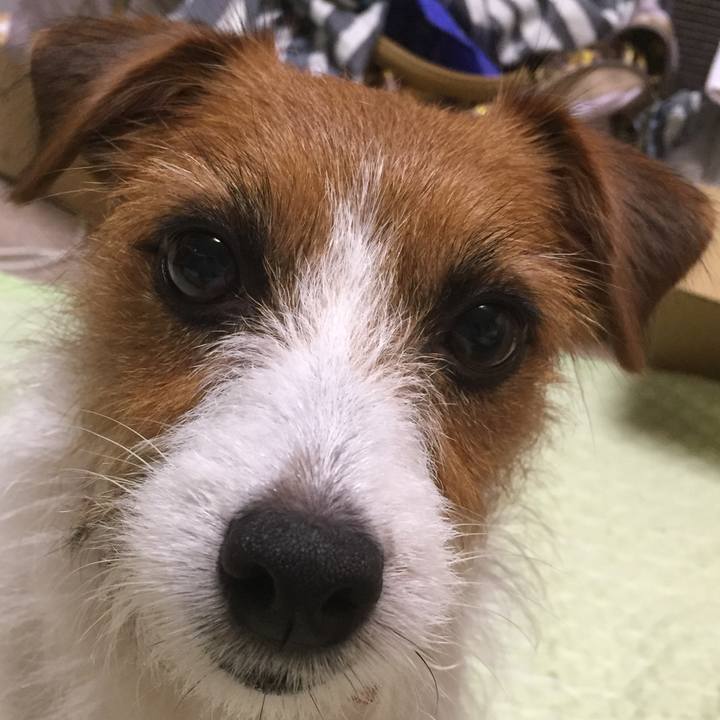 D92c32b7 5b9e 4c24 8b47 fd249af25ef1