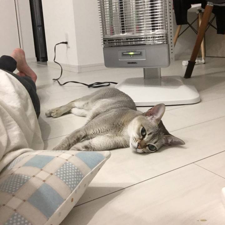 D92d1165 bd0c 4d4d 95d0 caab70cd1dad