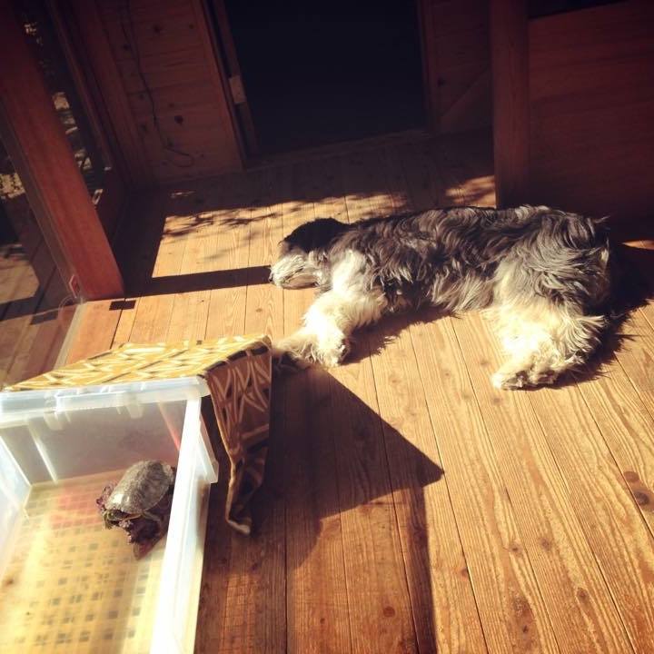 D92d8f7c 0a7a 4b60 ba6d e676df9f4151