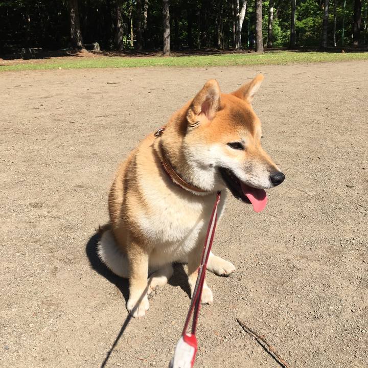 D92dd495 d261 40b4 8c23 a73f2b8b3ec5