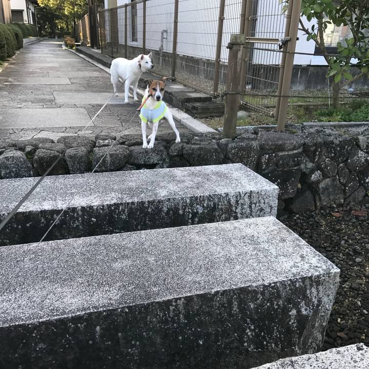 D92ee0db ec17 4e70 ac9e 9384ce4b6a92