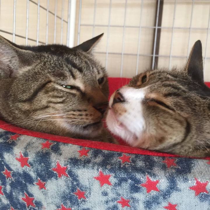 D92f0145 c653 4801 9414 330e611c77c6