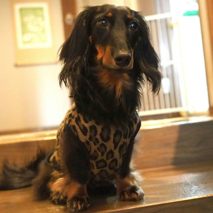 D92f7244 5e51 4cd7 bba2 22399419a93b