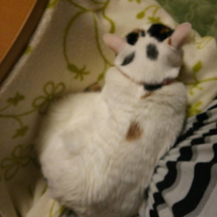 D92f7bf6 1265 4271 8410 01a677660cb5