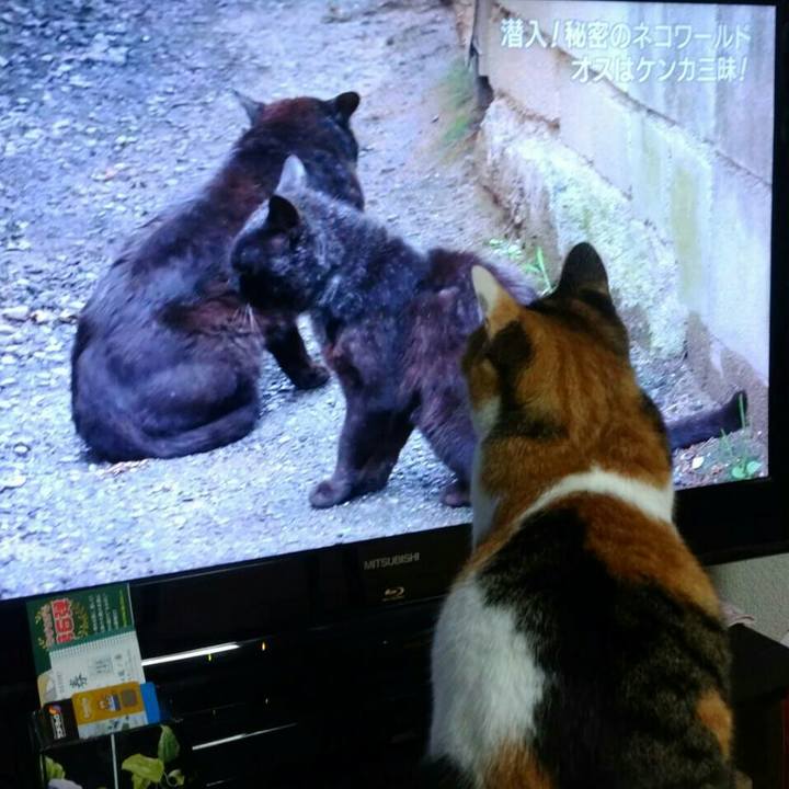 D92f8e17 3041 49ee af4f 4b616998bce2