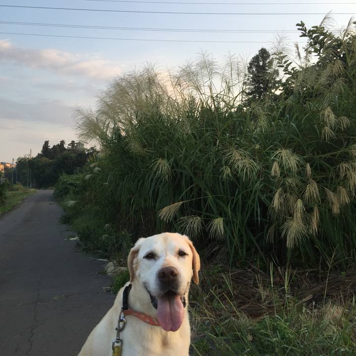 D92ffae8 56d9 4389 ad6b e3f2a57870bc