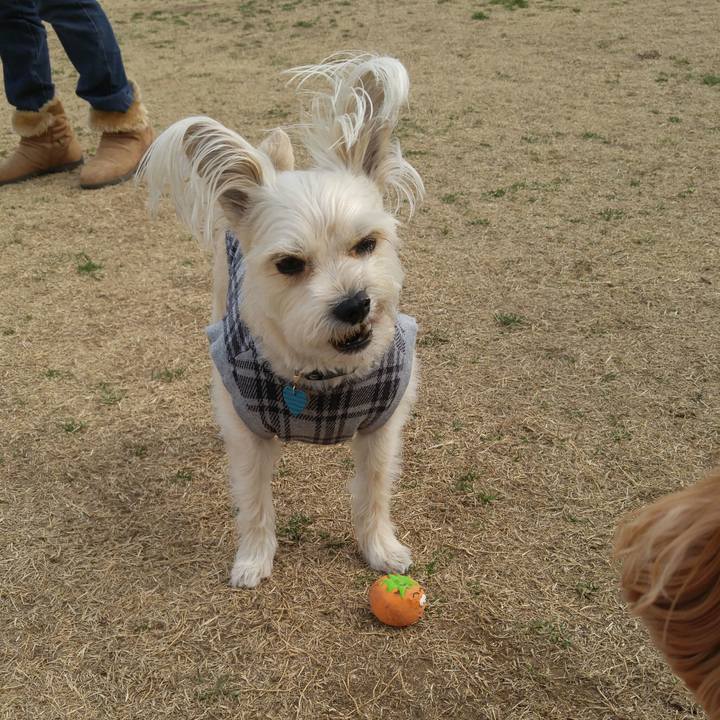 D930cded d01d 4779 b419 2207b7d00d33