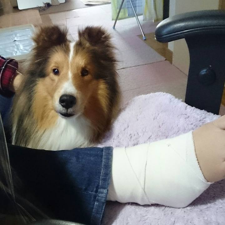 D930f65d 209a 4c03 acaf 51a1b7619df9