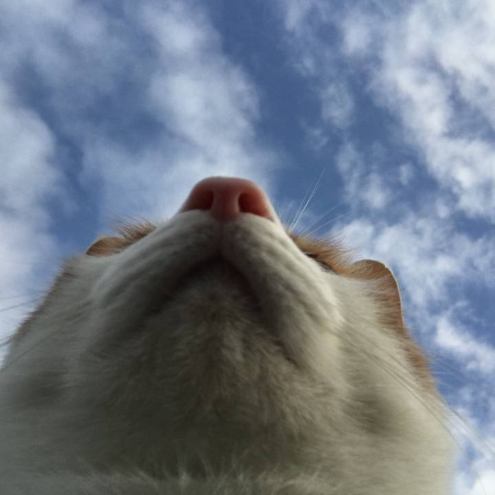 D93106cb 1477 43ec 9e2b 65d47e273a2d