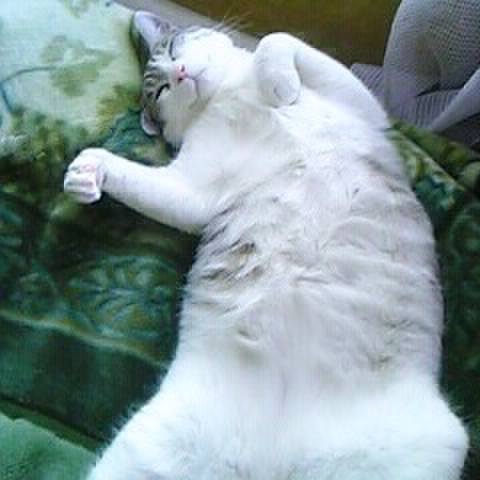 D9315143 58f4 4df8 9178 a8be48773f55